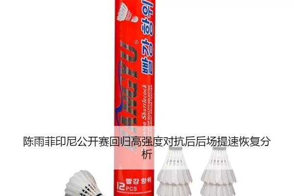 陈雨菲印尼公开赛回归高强度对抗后后场提速恢复分析